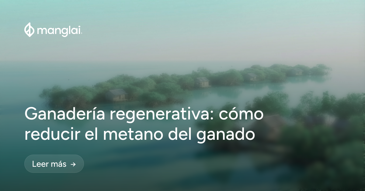 Ganadería regenerativa: cómo reducir el metano del ganado