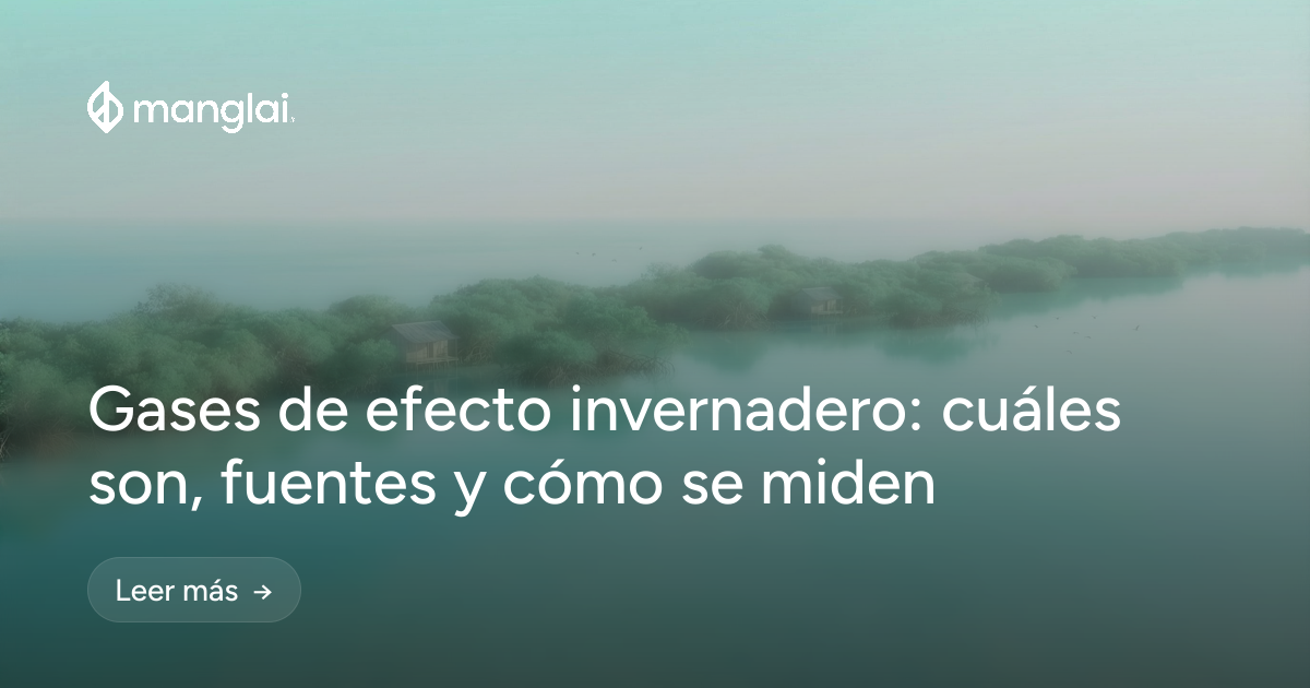 Gases de efecto invernadero: cuáles son, fuentes y cómo se miden