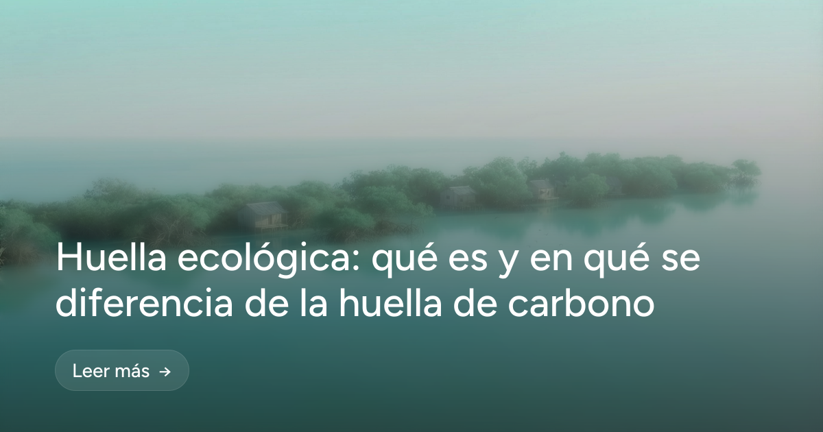 Huella ecológica: qué es y en qué se diferencia de la huella de carbono