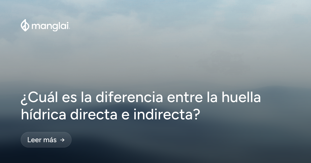 ¿Cuál es la diferencia entre la huella hídrica directa e indirecta?