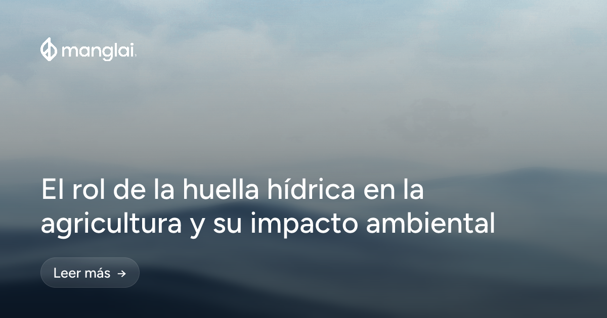 El rol de la huella hídrica en la agricultura y su impacto ambiental