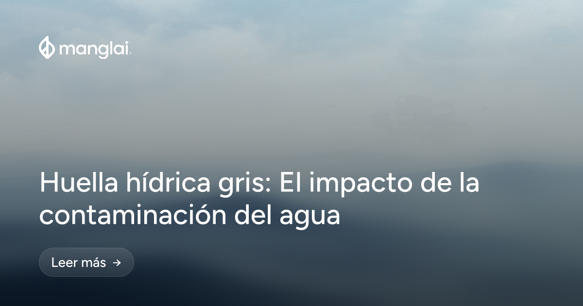 Huella hídrica gris: El impacto de la contaminación del agua