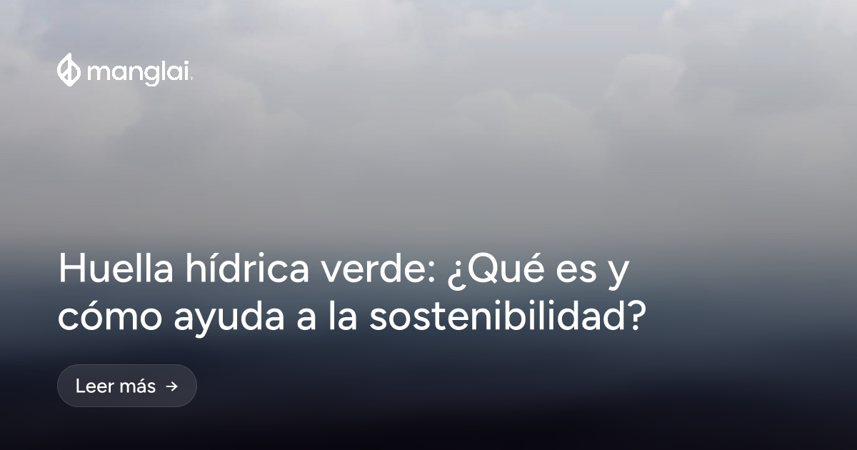 Huella hídrica verde: ¿Qué es y cómo ayuda a la sostenibilidad?