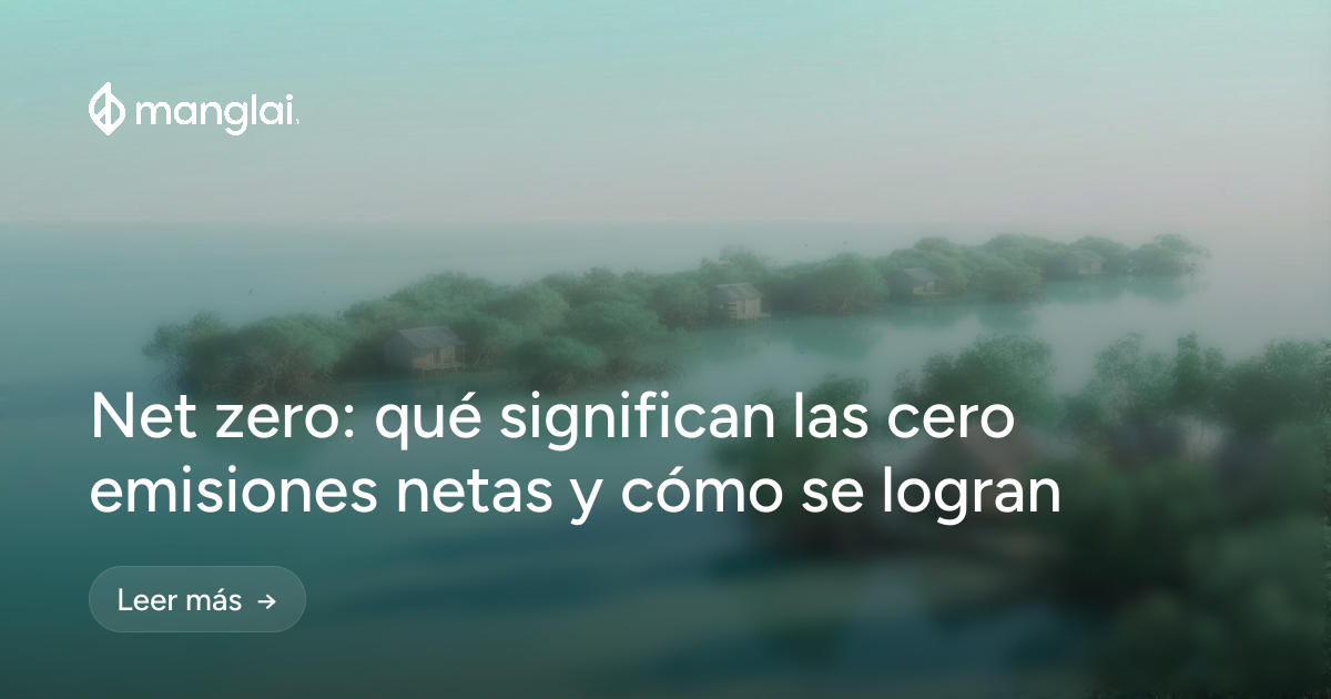 Net zero: qué significan las cero emisiones netas y cómo se logran