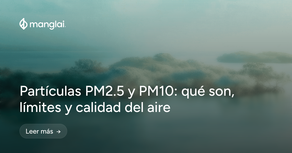 Partículas PM2.5 y PM10: qué son, límites y calidad del aire